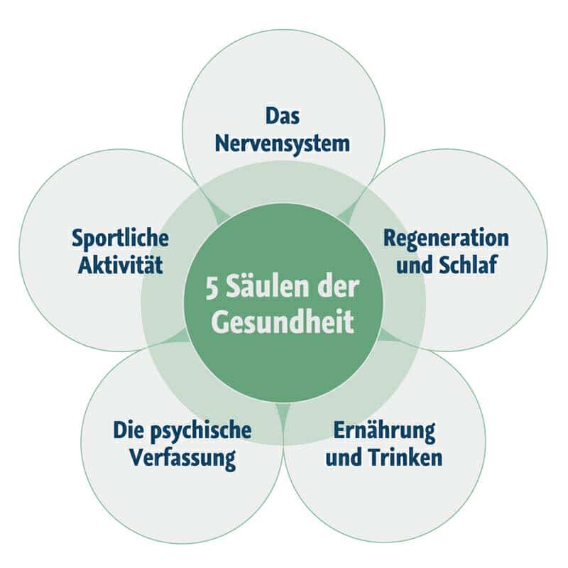 Mitglied des Teams Wohlfühlprinzip, Personaltrainer, freundlicher, moderner Stil